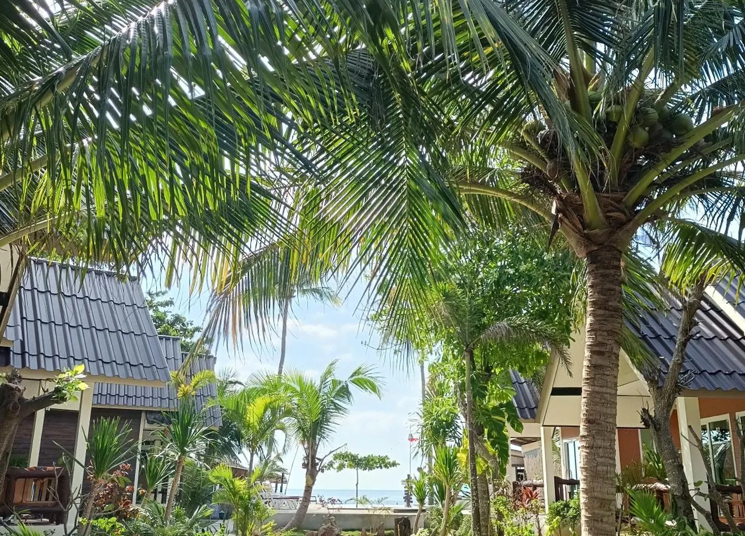 Sea Shell Beach Resort Ko Lanta